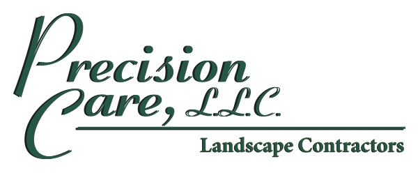 Precision Care, LLC logo