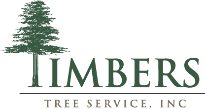 Timbers Tree Service